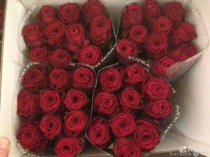 Цветы розы оптом и в розницу