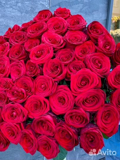Роза красная 100 см 101шт букет с беспл доставкой