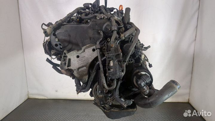 Двигатель Volkswagen Passat 6, 2009