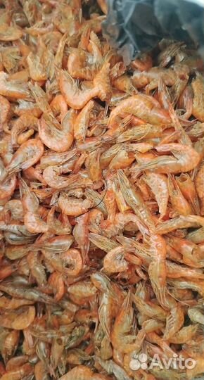 Креветки в Москве и мо