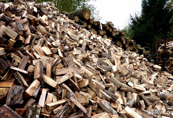 Дрова по выбору