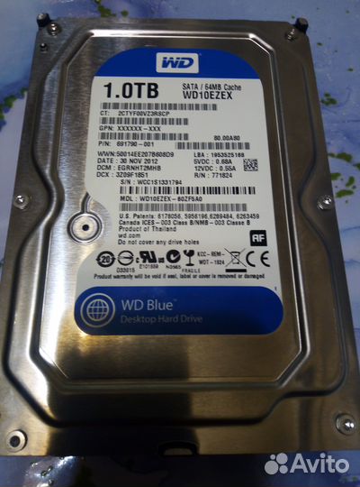 Hdd WD blue 3.5 1 TB