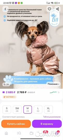 Одежда для собак мелких пород