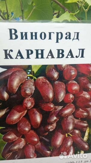 Растения для сада