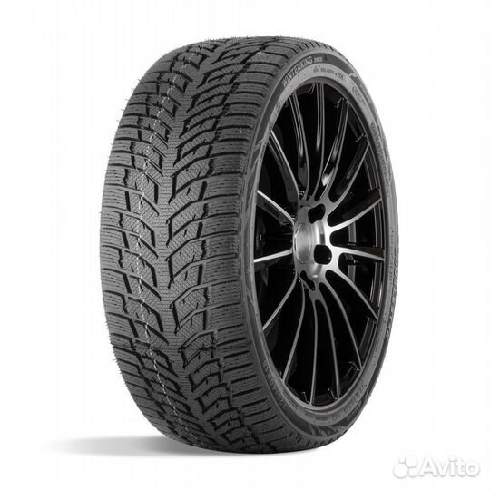 DoubleStar DW08 205/55 R16 91T