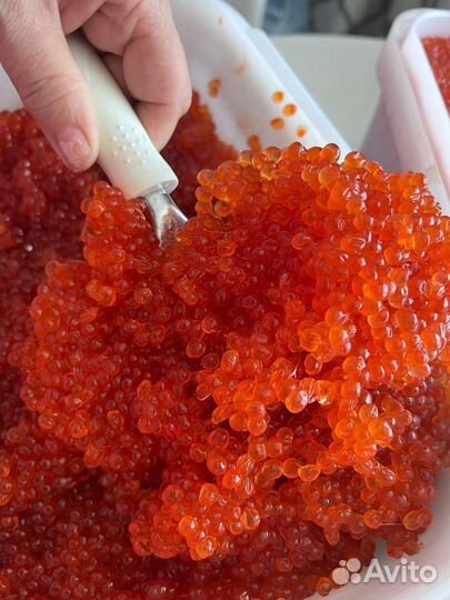 Икра красная