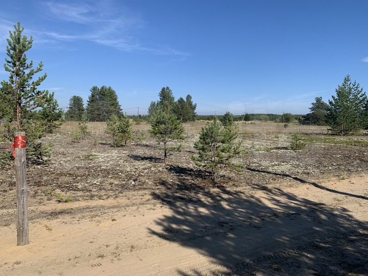 Участок 15 сот. (ИЖС)