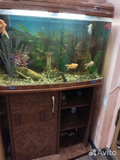 Аквариум
