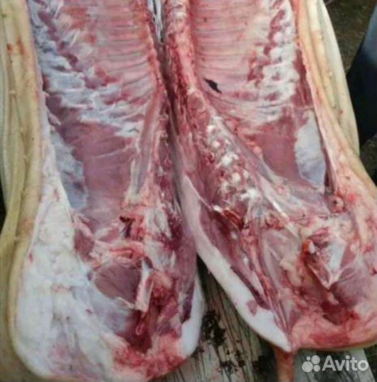 Мясо свинина домашняя