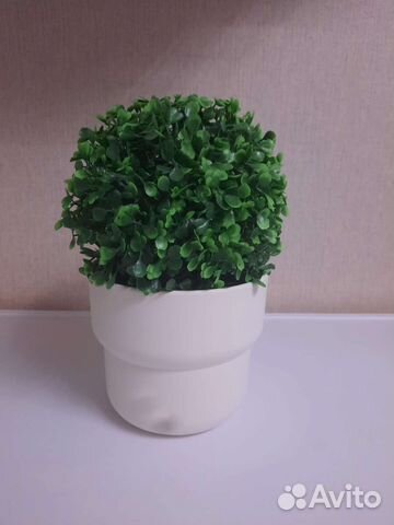 Искусственный самшит