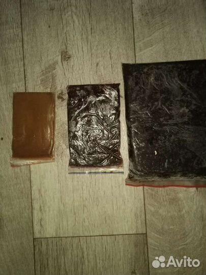 Замороженный корм для рыбок