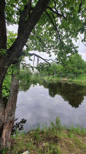 Участок 18 га (СНТ, ДНП)