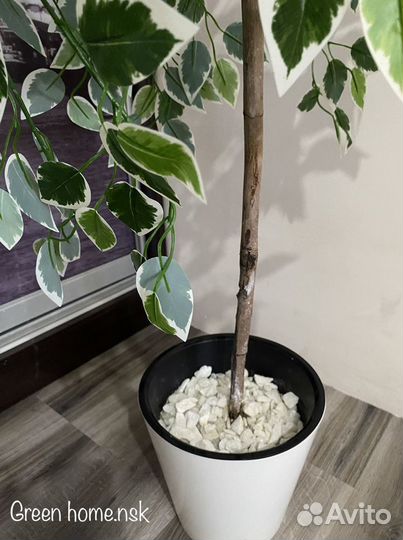 Искусственное дерево в горшке