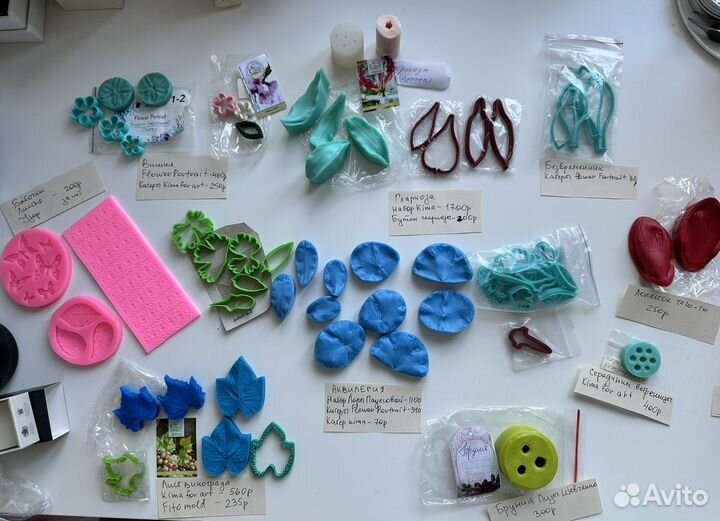 Вайнеры молды катеры новые много