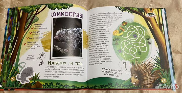 Книга kinder Natoons