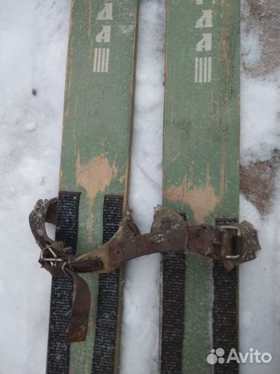 Лыжи Вологда