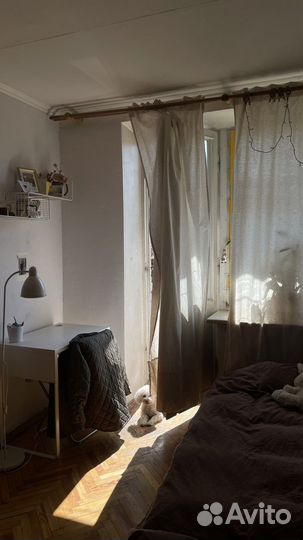 Индивидуальная передержка собак дома /догситтер