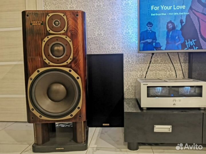 Динамики Onkyo Monitor 2001