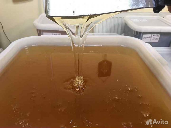 Мёд оптом с пасеки