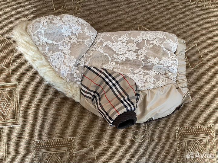 Одежда для маленьких собак