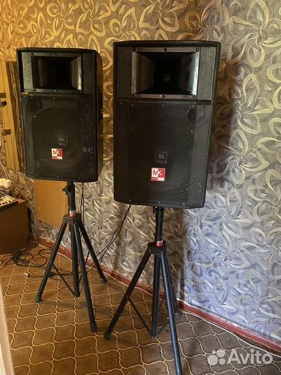 Акустическая система(колонки с микшером)