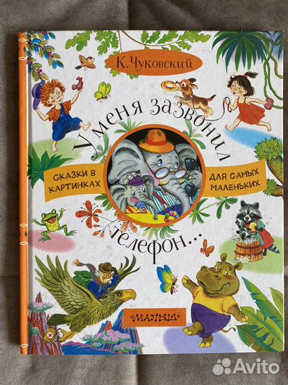 Детские книги. Чуковский. Соня и Сеня. Сказки