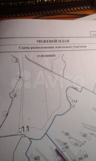 Участок 40 сот. (СНТ, ДНП)