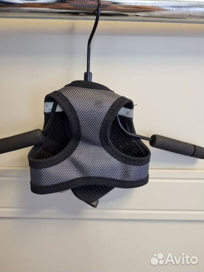 Курточка для чихуахуа и шлейка