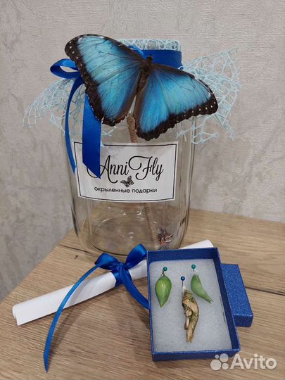 Ферма бабочек