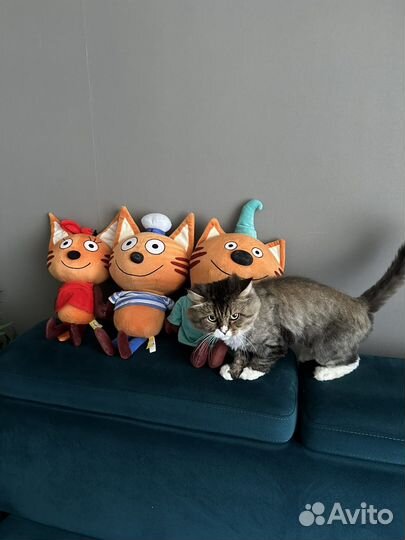 Мягкие игрушки три кота