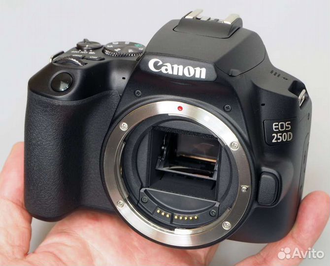 Фотоаппарат canon 250d