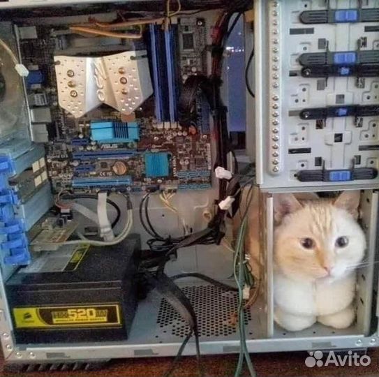 Ремонт компьютеров и ноутбуков, консультация