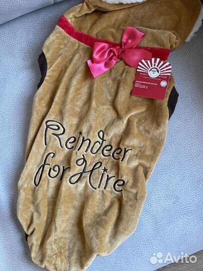 Одежда для собаки или кошки