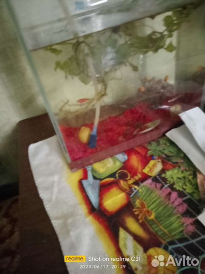 Распылитель для аквариума