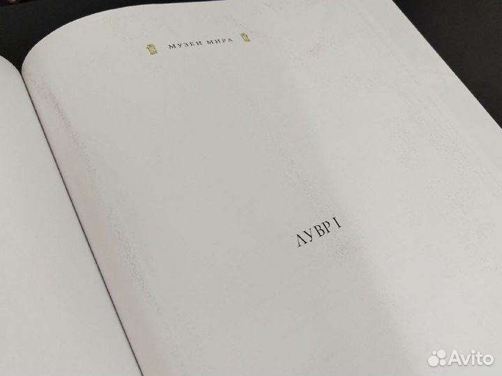 Музеи мира. Лувр в 2х томах