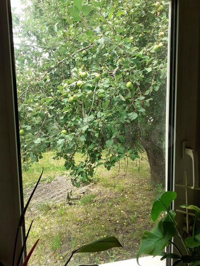 Дом 78 м² на участке 41 сот.