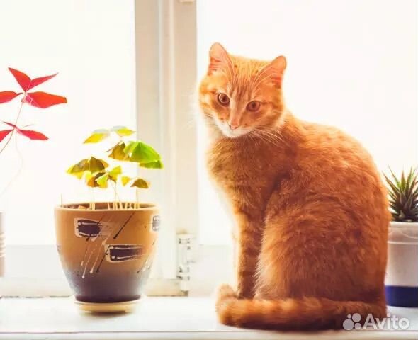 Уборка квартир