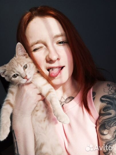 Передержка животных