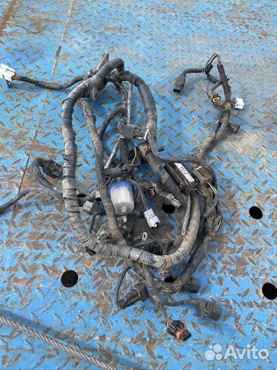 Моторная проводка коса эбу акцент 1.6 16 клапанный