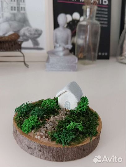 Картина из стабилизированного мха