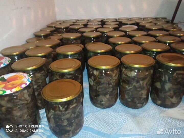 Грибы опята маринованные