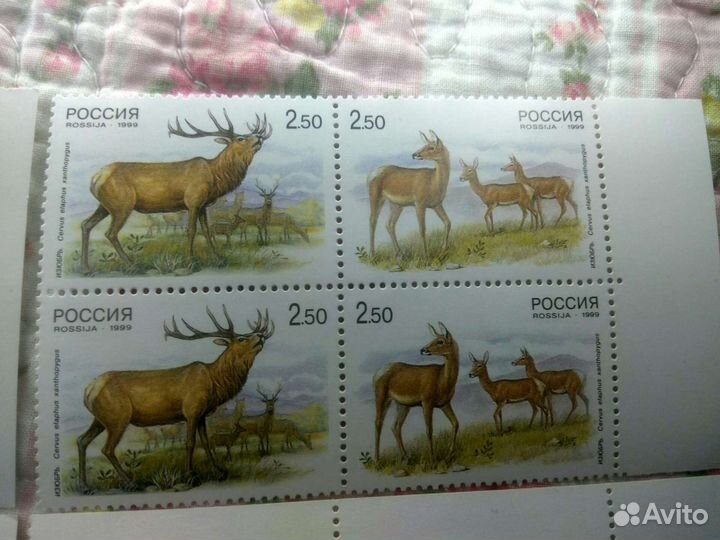 Почтовые марки Россия. 1999г.Сцепка из 4 марок.Фау