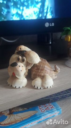 Сувениры из ракушек 4 шт