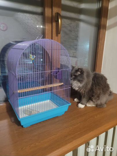 Клетка для птиц