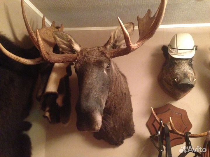 Чучело животных (имитация)