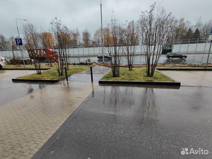 Продажа магазина разливных напитков (пиво)