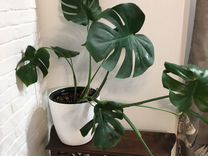 скрин 8 к ммр дота 2. 8 7 k. двигатель логан k7m. папич 7к ммр. двигатель рено логан 1.