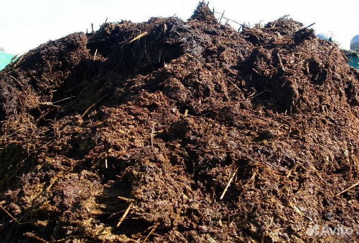 Коровий навоз в мешках 50л с доставкой