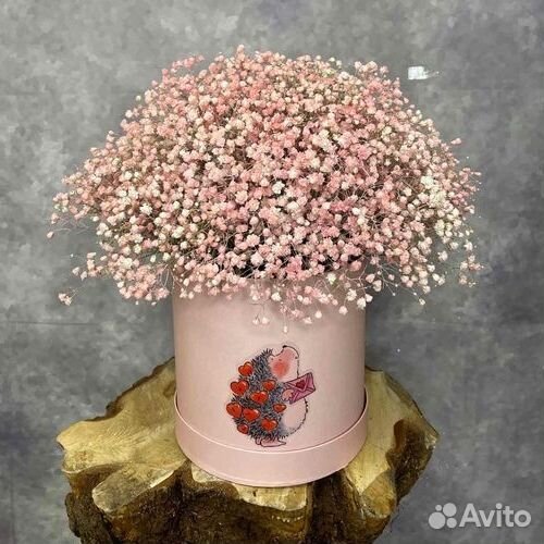 Гипсофилы с открыткой