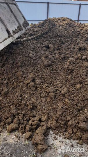 Газонный чернозём для благоустройства на даче